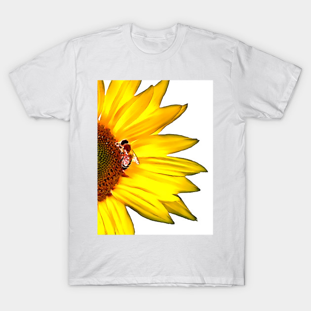 Sunflower and Bee by danieljanda